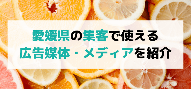 愛媛で効果の高い集客広告媒体やメディアを紹介！