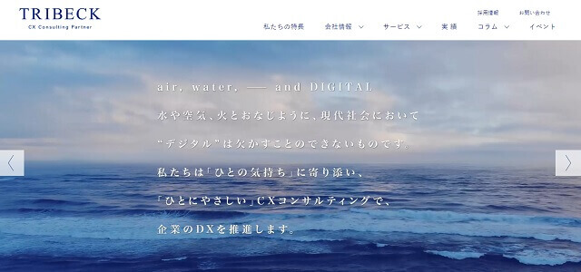 トライベックキャプチャ画像