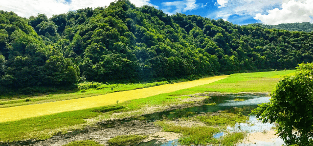 イメージ画像