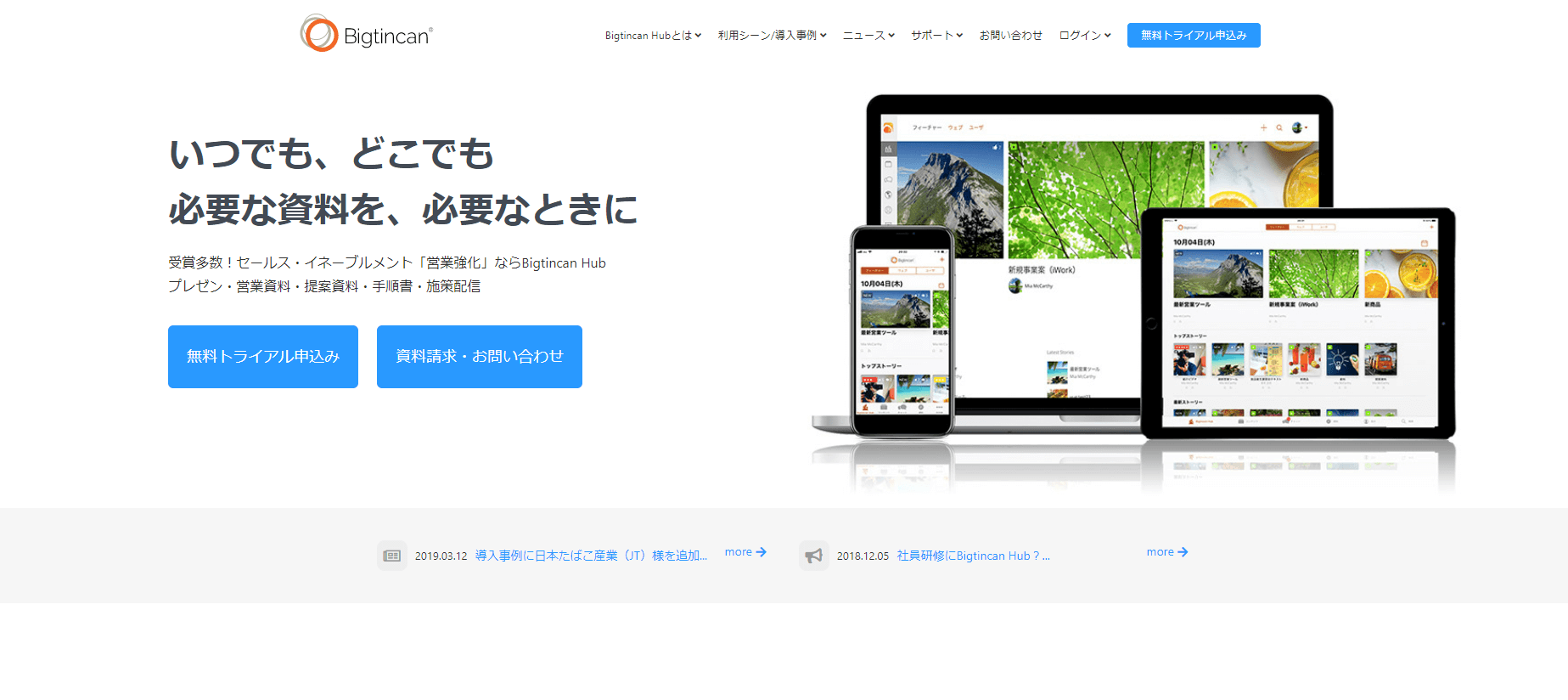 BigtincanHub公式サイト画像