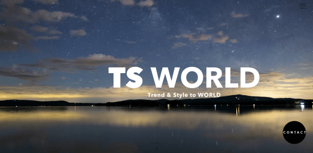 Instagram(インスタグラム)運用代行会社の株式会社TSWORLDの画像キャプチャ