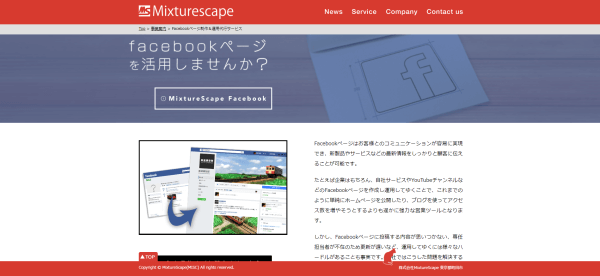 Facebook運用代行の株式会社MixtureScape