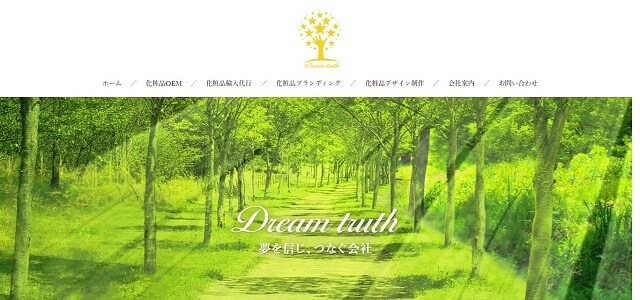 ホームページ制作会社の株式会社ドリームトゥルース公式サイト画像