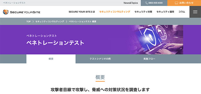 ペネトレーションテスト ぺネストレーションテスト(SCSK)の公式サイト画像）