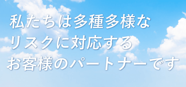 リスクマネジメントサービス（コンサル）の双日インシュアランスサイト画像