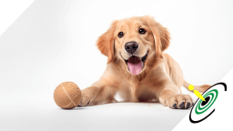 動物病院予約システム比較8選！