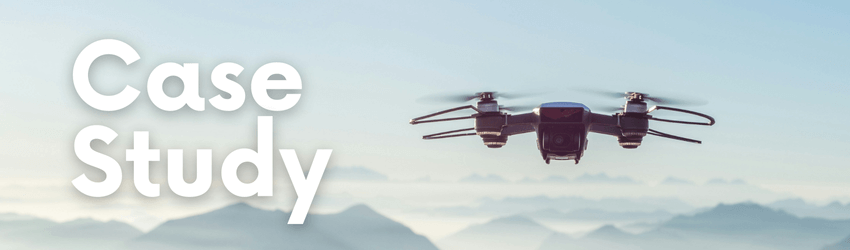 ドローンレーザ測量の事例