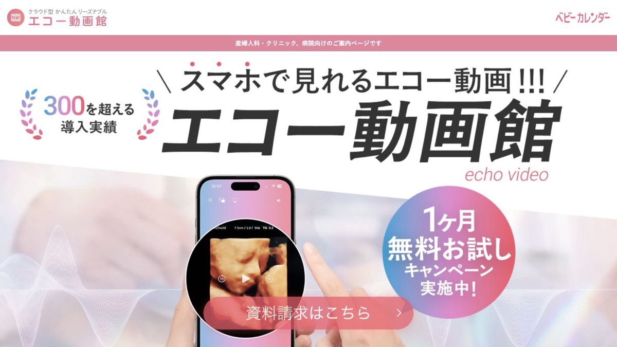 エコー動画館の料金は？産婦人科の導入事例や特徴を調査