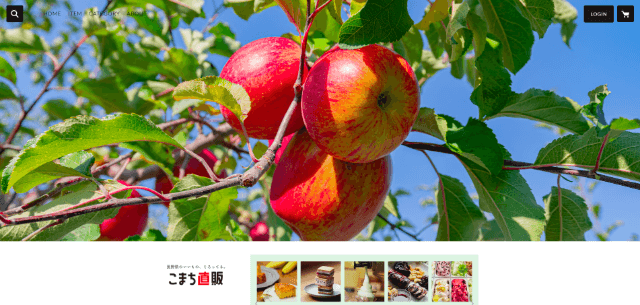 長野Komachiキャプチャ